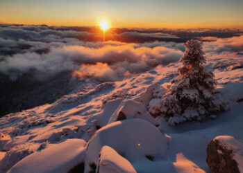 Карпати у зимовій красі: відомий гірський рятувальник поділився новими світлинами Чорногори