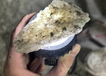 Компанія “Катіон Інвест” відновила видобуток кам&apos;яної солі на Закарпатті