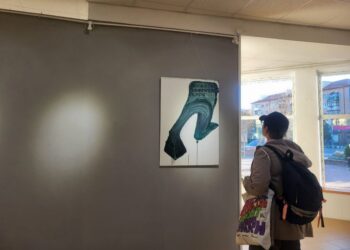 “Міждисциплінарний” художник Ряска представив в Ужгороді “Конституцію перформансу” (ФОТО, ВІДЕО)