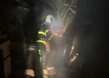 На Міжгірщині рятувальники зупинили пожежу за кілька метрів від будинку (ФОТО)