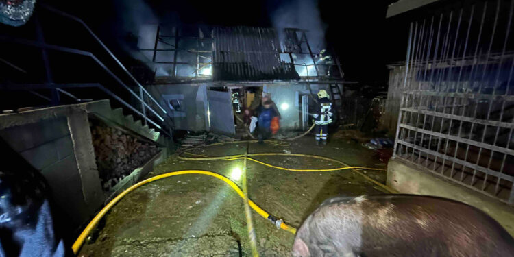 На Мукачівщині собака врятував господарів та порося від нічного займання –