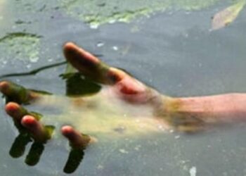 На Мукачівщині у Латориці виявили потопельника