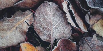 На Україну насувається похолодання. Синоптики озвучили дату різкої зміни погоди