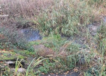 На Закарпатті розслідують забруднення річки Верке (ФОТО)