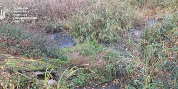 На Закарпатті розслідують забруднення річки Верке (ФОТО)