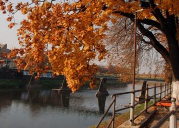 На Закарпатті синоптики прогнозують теплі вихідні без дощів