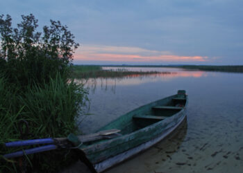 Найкращі місця в Україні для спостереження за перелітними птахами восени