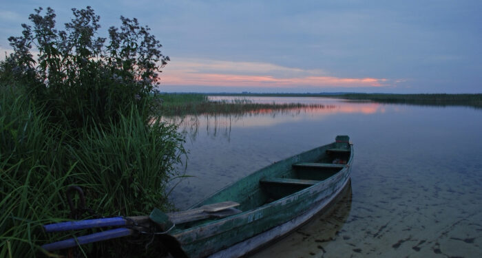 Найкращі місця в Україні для спостереження за перелітними птахами восени