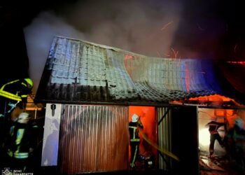 Невдалий старт опалювального сезону: на Мукачівщині вогонь знищив господарську будівлю (ФОТО) –