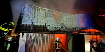 Невдалий старт опалювального сезону: на Мукачівщині вогонь знищив господарську будівлю (ФОТО) –