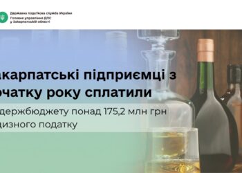 Понад 175 мільйонів – від акцизу: закарпатські підприємці збільшили надходження до місцевих бюджетів –