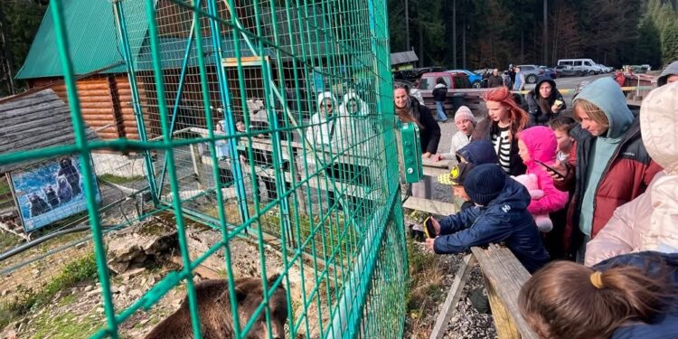 Синевир, ведмеді та «Долина вовків»: Закарпатська митниця організувала незабутню подорож для школярів-переселенців –