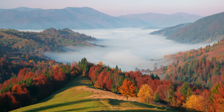 Сонце в низинах, хмари й дощі в горах — що прогнозують синоптики на Закарпатті на вихідні