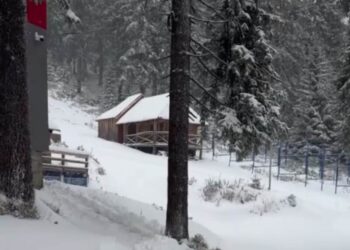 У Карпатах випав сніг – подекуди до 30 см. Рятувальники попереджають про небезпеку в горах. Фото