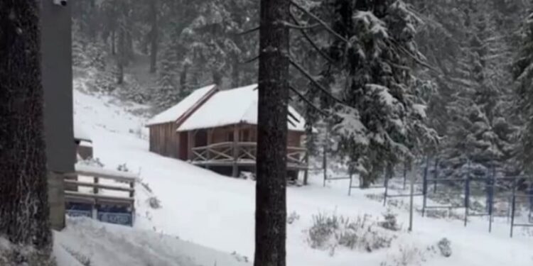 У Карпатах випав сніг – подекуди до 30 см. Рятувальники попереджають про небезпеку в горах. Фото