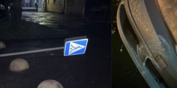 Ужгородка розтрощила дорожній знак та втекла (ФОТО)