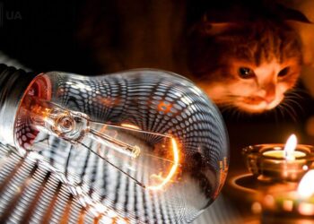 «Закарпаттяобленерго» опублікувало графіки відключення світла на 21 листопада –