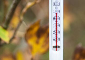 У наступні 2 дні очікують нетипову для грудня погоду – оновлений прогноз — Закарпаття