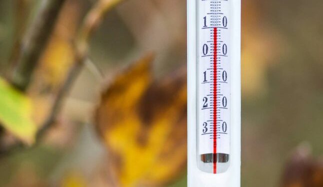 У наступні 2 дні очікують нетипову для грудня погоду – оновлений прогноз — Закарпаття