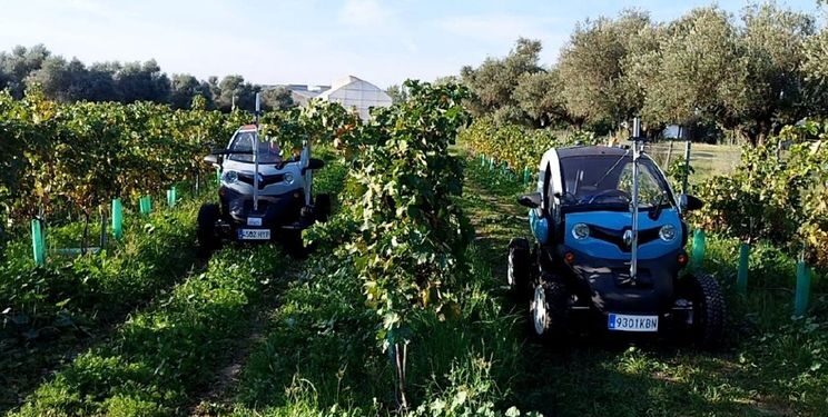 Електричний Renault Twizy перетворили на автономного робота для виноградників – Техніка
