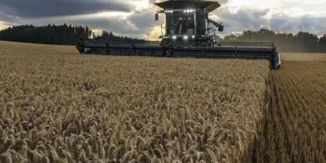 Fendt IDEAL отримав нову систему очищення для нульових втрат зерна – Техніка