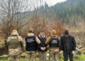 $7000 за «трансфер»: На Закарпатті викрили організатора та спільника у незаконному переправленні військовозобов’язаних –