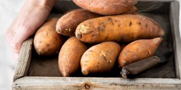 Солодкий овоч стрімко набув популярності в Україні — Закарпаття