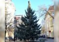 У Берегові встановили 10-метрову різдвяну ялинку — Суспільне Ужгород
