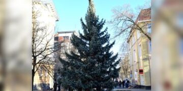 У Берегові встановили 10-метрову різдвяну ялинку — Суспільне Ужгород