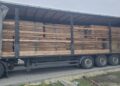Директор мукачівського підприємства відповідатиме за спробу незаконного експорту пиломатеріалів (ФОТО)
