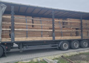 Директор мукачівського підприємства відповідатиме за спробу незаконного експорту пиломатеріалів (ФОТО)