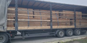 Директор мукачівського підприємства відповідатиме за спробу незаконного експорту пиломатеріалів (ФОТО)