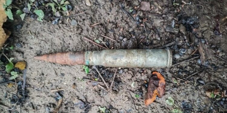 На Закарпатті жінка знайшла артснаряд часів Другої світової у власному дворі (ФОТО)