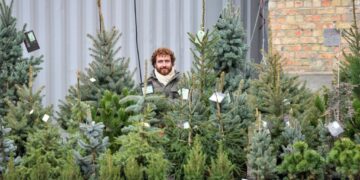 Новорічний ярмарок 2025: В Ужгороді визначили 7 локацій для торгівлі ялинками та додаткове місце для прикрас –