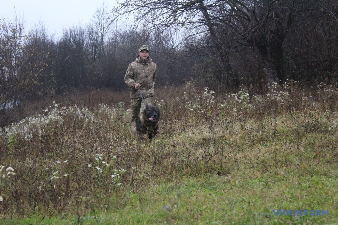 Тор гарний службовий собака, каже Ілля, він скеровує увагу на проблемні ділянки, швидше почує порушника та швидше його дожене за потреби